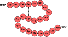 <p>the polymer in a protein is a(n) ___________.</p>