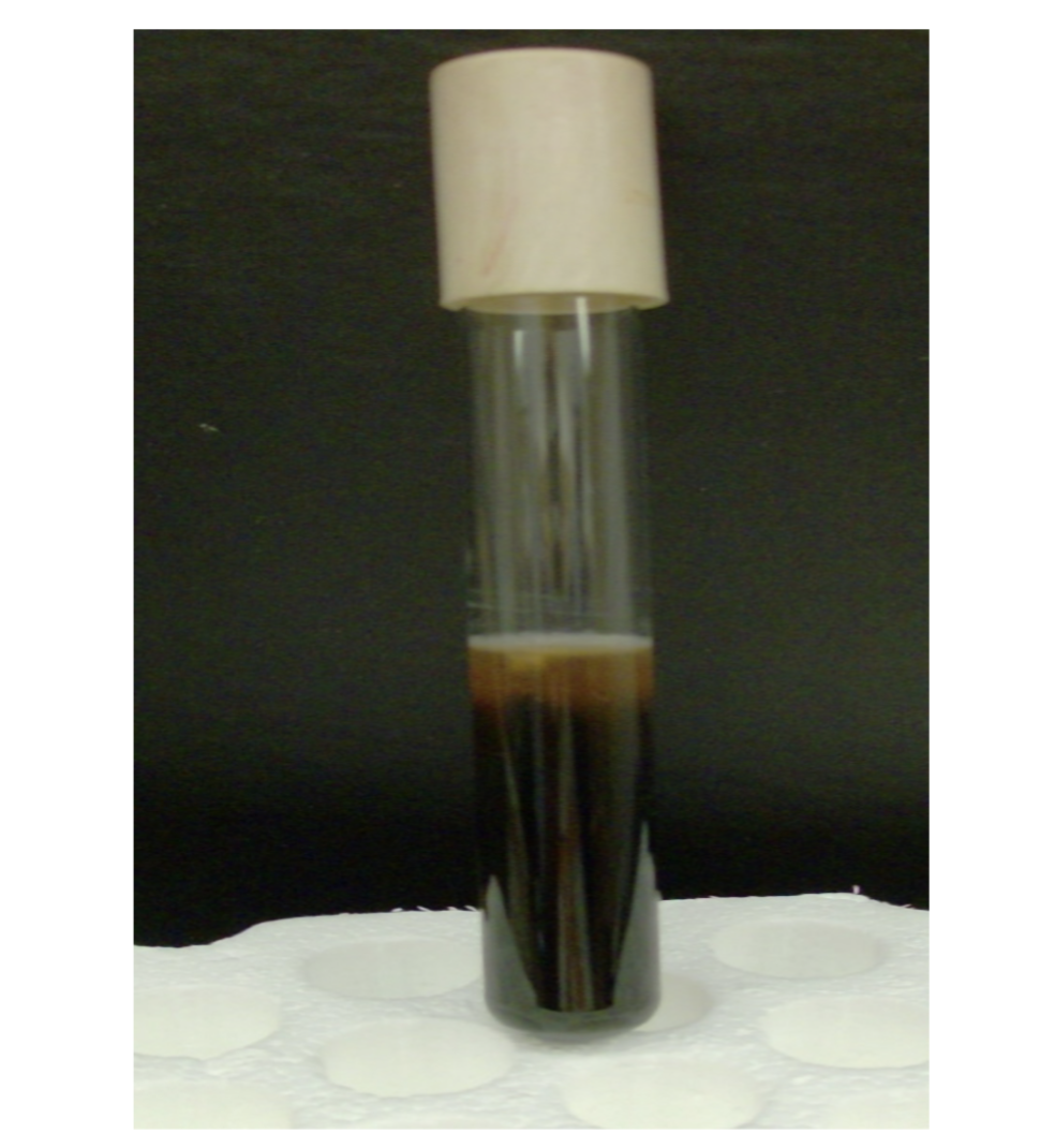 <p>what is the test and result?</p>