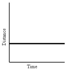 <p>It indicates no velocity (the object is at rest).</p>