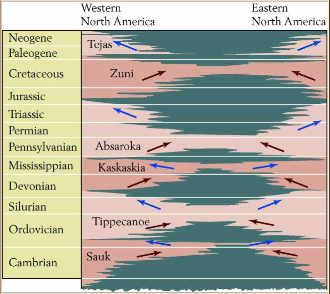 <p>Large bodies of marine sediment that are relatively conformable, genetically related (active at one time), and linked to eustatic change. Usually bounded by unconformities</p><p>accumulation during TST, erosion during RST</p>