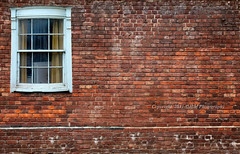 <p>window</p>