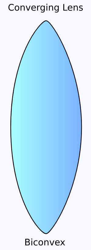 <p>Cause parallel light rays to converge and move closer together</p><p>They are curved outwards & in an oval shape</p>