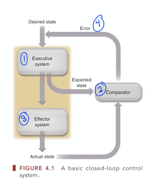 <ol><li><p>An executive for decision making about errors</p></li><li><p>An effector system for carrying out decisions </p></li><li><p>A reference of correctness against which the feedback is compared to define an error</p></li><li><p>An error signal, which is the information acted on by the executive </p></li></ol><p></p>