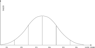 <p>product life cycle stages</p>