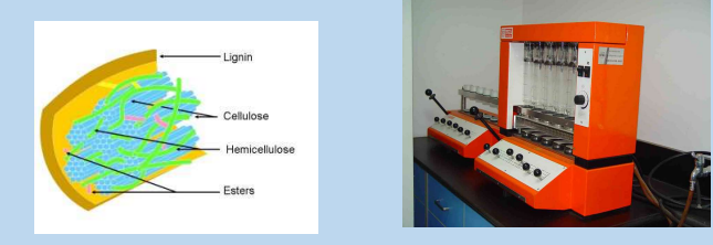 <ol start="3"><li><p><strong><u>Crude Fiber (CF)</u></strong></p></li></ol><ul><li><p>Aims at measuring <span style="color: red;"><strong>cell wall content;</strong></span> however,<strong> acid and basic treatments </strong>also remove parts of <span style="color: red;"><strong>hemicellulose </strong></span>and <span style="color: red;"><strong>lignin</strong></span>. Therefore, <strong><mark data-color="red" style="background-color: red; color: inherit;">CF _________ fiber content </mark></strong></p></li></ul><p></p>