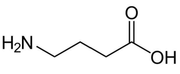 <ul><li><p>Main <strong>inhibitory </strong>transmitter in the CNS</p></li><li><p>Acts on GABA receptors: GABA<sub>A</sub> , GABA<sub>B</sub> and GABA<sub>C</sub></p></li><li><p>GABAARs are most well-studied, will be our focus</p></li></ul><div data-type="horizontalRule"><hr></div><ul><li><p>GABA type A most important</p></li></ul><p></p>