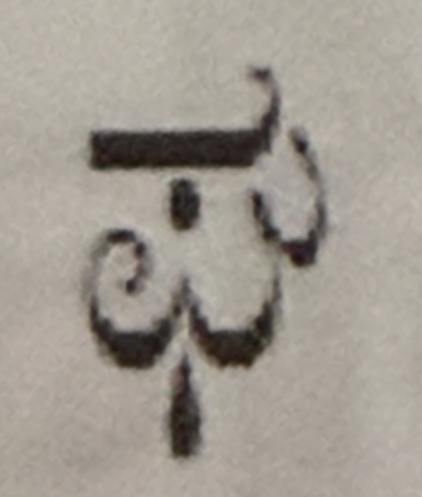 term image