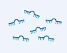 <p>regulates gene expression </p>