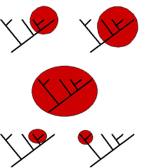 <p>E, F, and G</p>