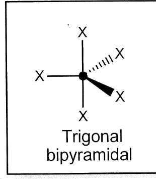 <p>trigonal bipyramidal</p>