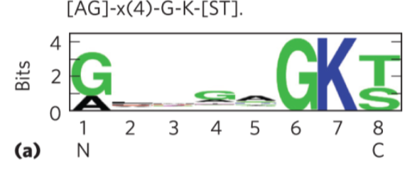 <p>A box plot that shows the relative percent of sequences that have a particular residue at a particular spot in the protein’s sequence</p>