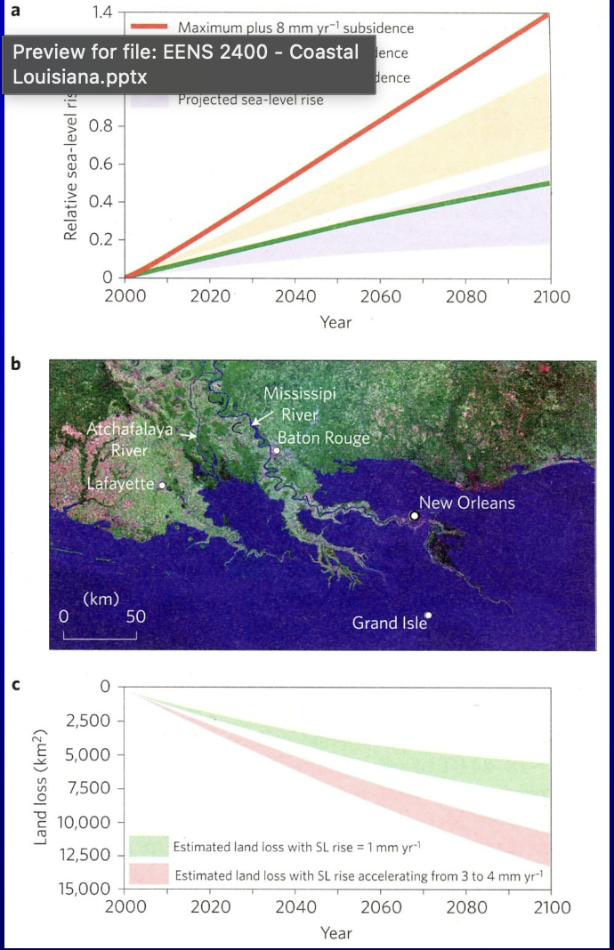 <p>What are these projections? </p>