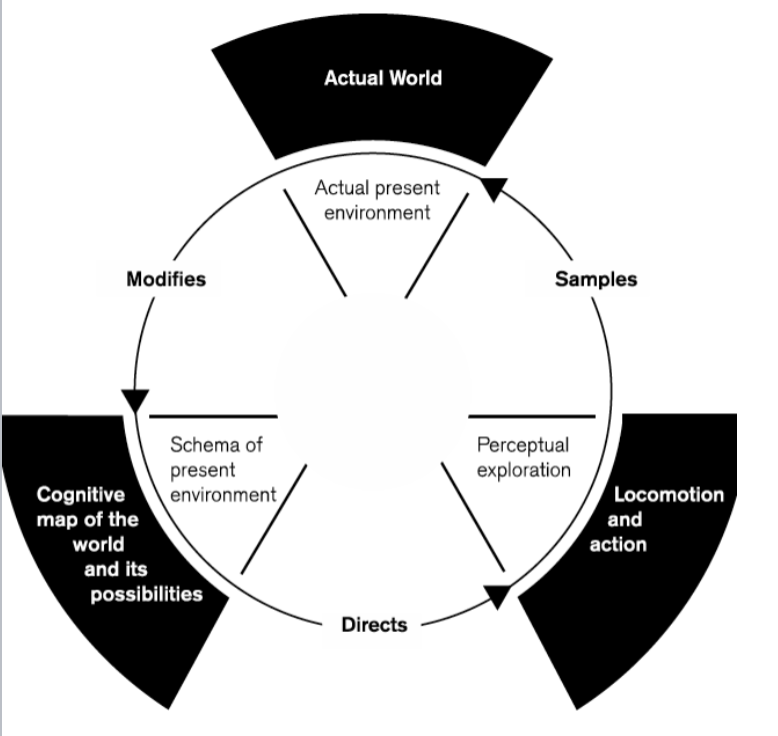 <ul><li><p>In any given moment, our current experience is a product of integrating the perceptual present and the cognitive past</p></li><li><p>An active, embodied, emotional agent embedded in the physical and socio-cultural world</p></li><li><p>The sequential-cyclical process simplifies a deeper embedding and inter-dependence of brain, body, world and mind</p></li></ul><p></p>