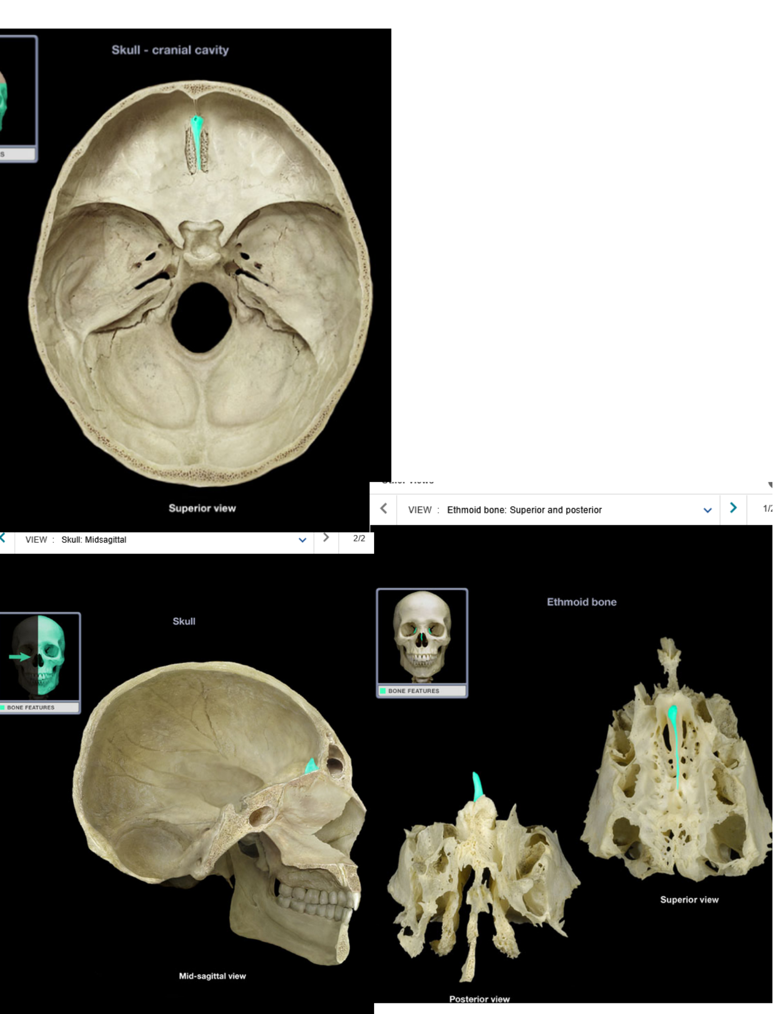knowt flashcard image