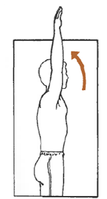 <p>Describe this motion </p>