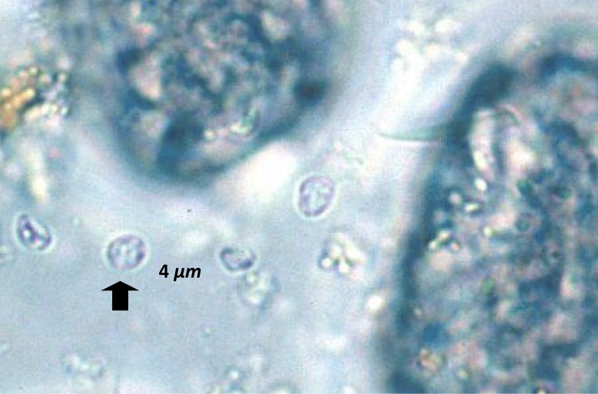 <p>What is this?</p>