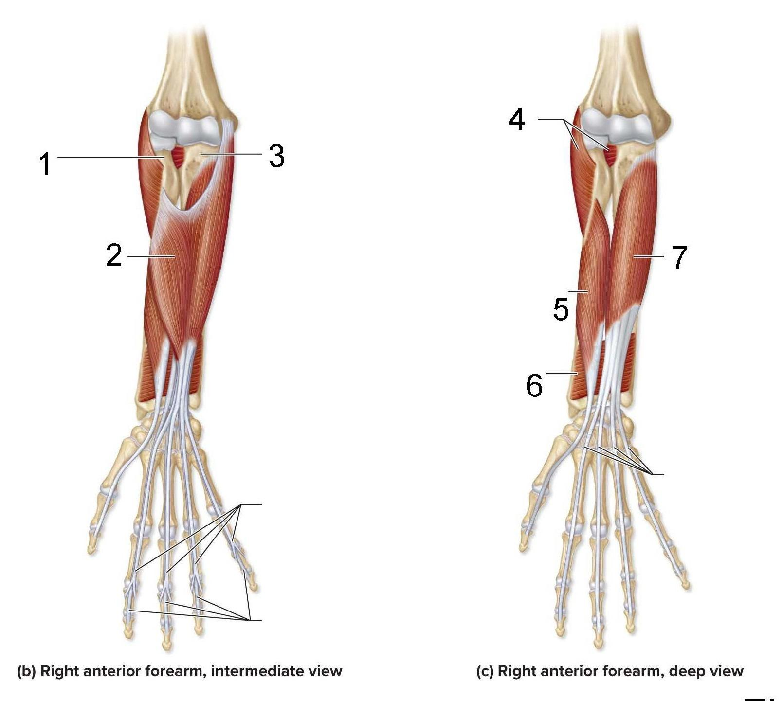 <p>What is identified in the photo 2,4,5,6,7</p>