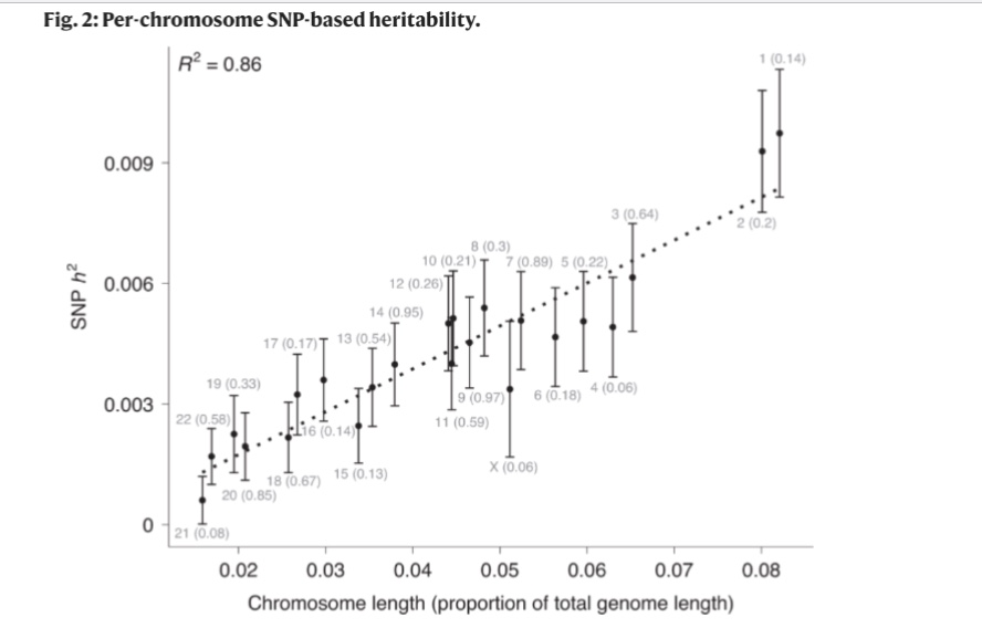 <p><span style="line-height: 14px;">The longer the chromosome, the more it contributes to sexual behavior. There isn’t just one single gay gene or even one specific part of the DNA responsible for these behaviors. </span></p>
