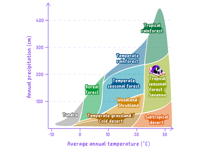 <p>For any given temperature and rainfall pattern a particular natural ecosystem type is likely to develop</p>