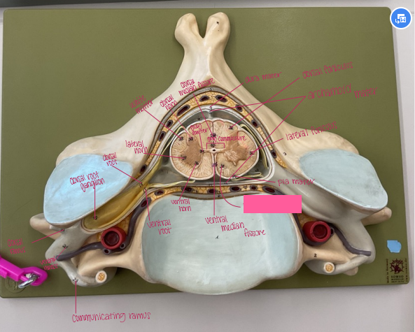 <p>What is being shown? </p>