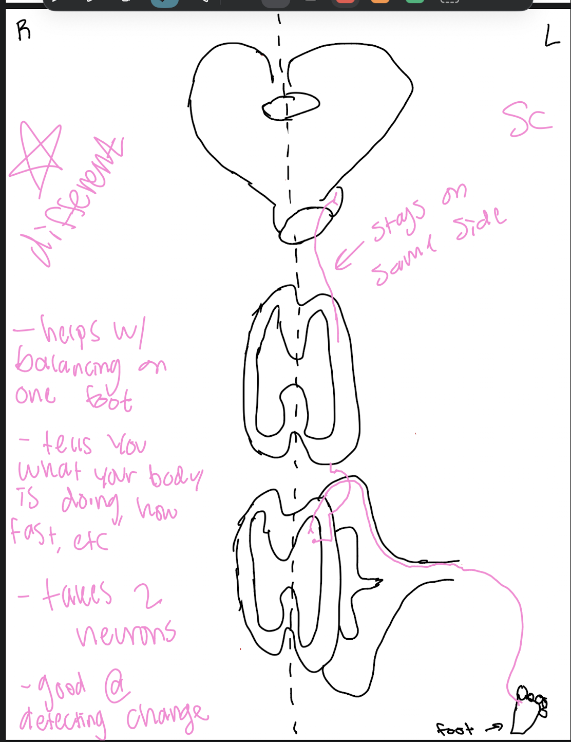 knowt flashcard image