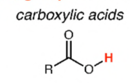 <p>carboxylic acid</p>