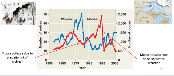 <p>Population fluctuations from year to year or place to place</p><p>Depends on biotic factors or abiotic factors that interact with each other, including birth rates, death rates, immigration, and emigration. </p>