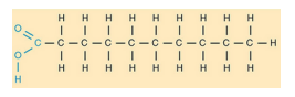 <p>a long<strong> hydrocarbon chain</strong> with a</p><p><strong>carboxyl </strong>group at one end</p><p>only <strong>single bonds</strong> between carbon</p><p>atoms</p>