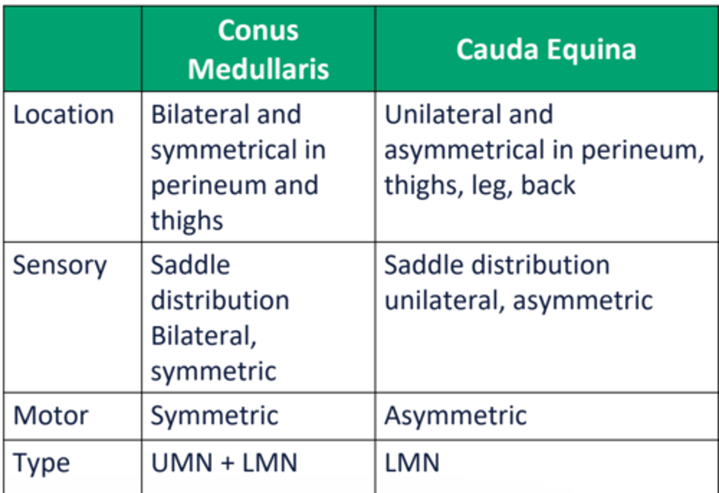 <p>conus medullariS = symmetrical </p><p>cauda equinA = asymmetrical </p>
