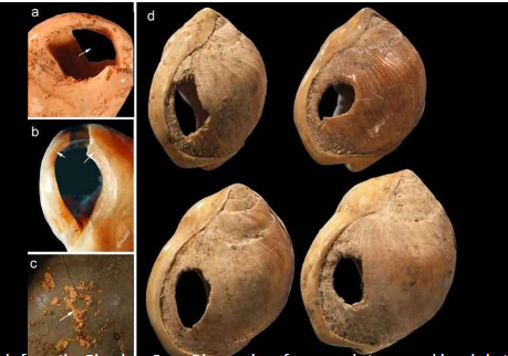 <p>Title, Date, and Significance?</p>