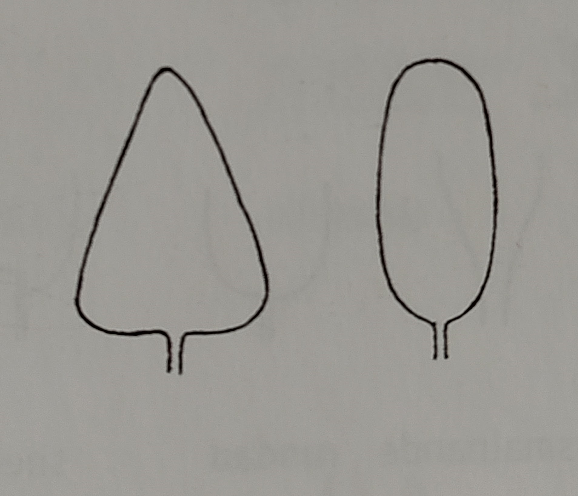 <p></p>