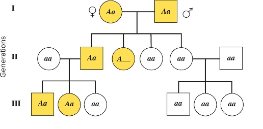 <p>What pattern of inheritance is shown in the following pedigree? What is the probability that the affected son in generation III will pass the trait on to his children?</p>