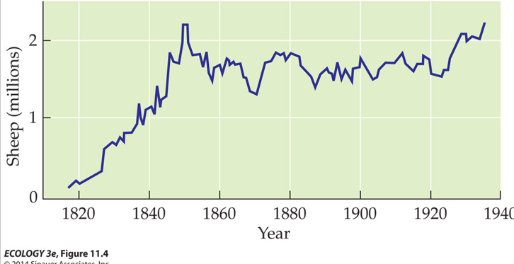 <p>Sheep colonists of Tasmania. The growth curve doesn’t exactly match because the model assumes no growth once the population reaches K. This is not accurate to nature. After all, organisms do not always know when they reach carrying capacity. This causes fluctuations above and below carrying capacity.</p>