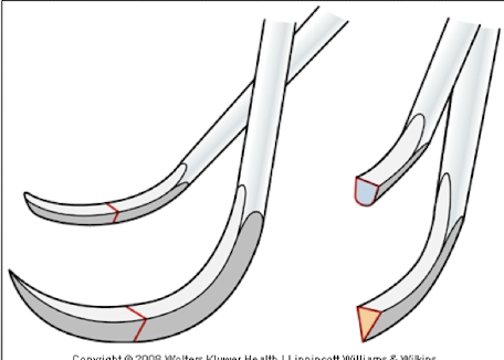 <p>Triangular or semi-circular</p>