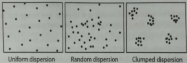 <p></p>