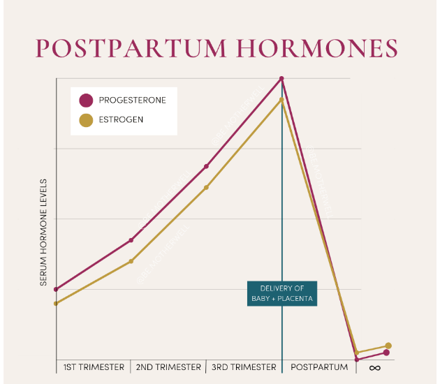 <ul><li><p>NECESSARY POSITIVE FEEDBACK PATHWAY TO KNOW</p></li><li><p>the natural signal that starts birth is unknown</p><ul><li><p><strong>induction</strong> occurs and uterus begins to contract</p><ul><li><p>prostaglandins </p></li></ul></li></ul></li><li><p>as the baby’s head presses against the cervix on the outlet of the vaginal canal, <strong>uterine contraction</strong> begins</p><ul><li><p>this leads to cervical dilation which signals the hypothalamus to stimulate the PPG into releasing <u>oxytocin</u> which again stimulates uterine contraction</p><ul><li><p><em>positive feedback loop</em></p></li></ul></li><li><p>this continues happening until the end of childbirth, meaning oxytocin levels in the body are extremely high</p><ul><li><p><strong>newborn effect</strong>~ intense emotional bond of a mother to her child after birth</p></li></ul></li><li><p>high oxytocin levels suddenly lower after birth, while estrogen and progesterone levels crash leaving a mother with postpartum</p><ul><li><p>loss of placenta after birth</p></li><li><p>different for all women due to environmental, genetic, and hormonal factors</p></li></ul></li><li><p>breastfeeding keeps oxytocin levels relatively high (fluctuates)</p><ul><li><p>women who stop breastfeeding early typically have trouble bonding with their child</p></li></ul></li></ul></li></ul><p></p>