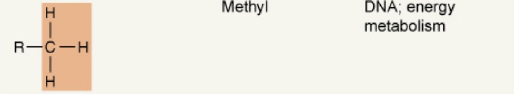 <p>Methyl group.</p>