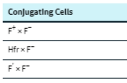 <p>(16) Results of conjugation between E. coli cells with different F factor</p>