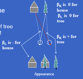 <p>Right esotropia can cause both:</p><ul><li><p>Confusion: different objects appear in the same perceived location</p></li><li><p>Diplopia: one object is seen twice because its images fall on noncorresponding retinal points</p></li></ul><p></p>