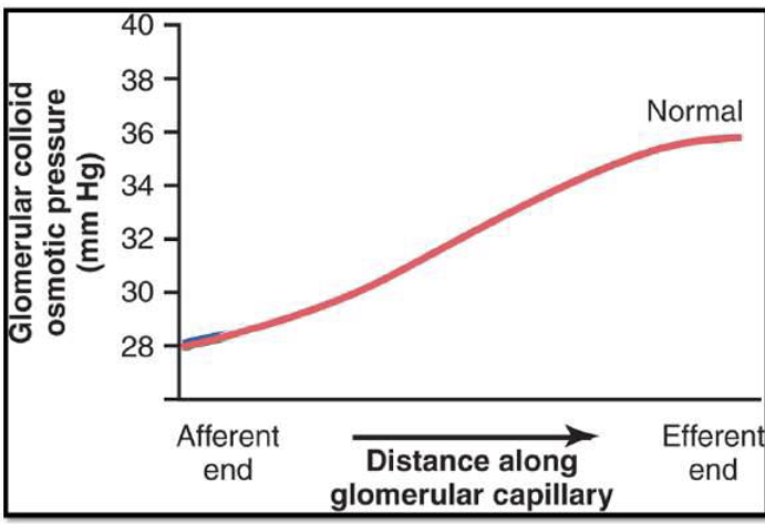 <p>you’re losing water</p>