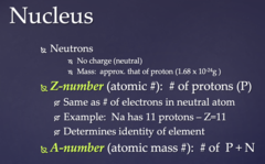 <p>Z number</p>