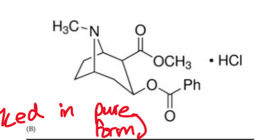 <p>converted into HCl salt and is crystalized</p><p>water soluble and can be taken orally, intranasally, or by IV</p><p>isnt heat stable</p><p></p>