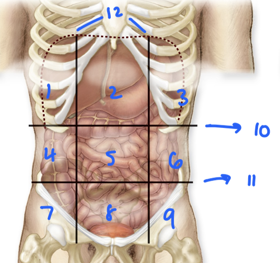 <p>8</p>