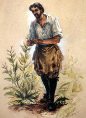 <p>He helped Jamestown develop a new variety of tobacco which became popular in Europe and became a profitable crop. (p. 25)</p>