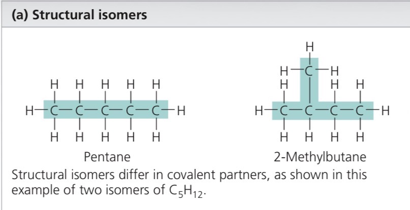 <p>Isomers that differ in covalent arrangement of their atoms e.g. Straight vs branched</p>