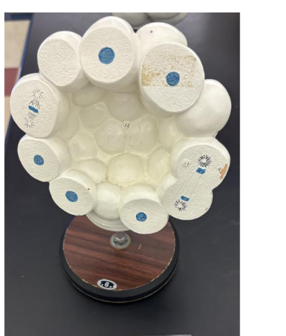 <p>what stage is this </p>