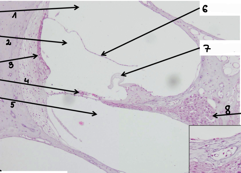 <p>1</p>