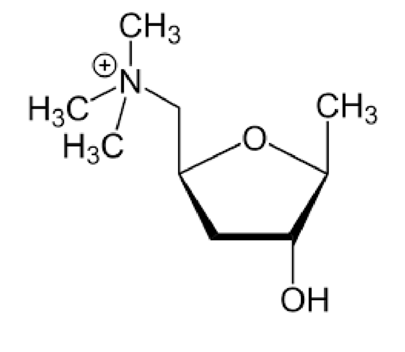 <p>Parasympathomimetics</p>