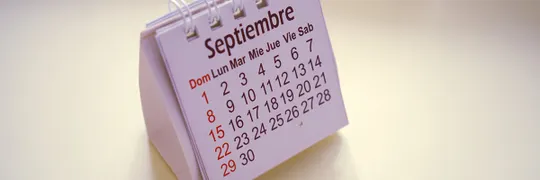 <p>The date</p>