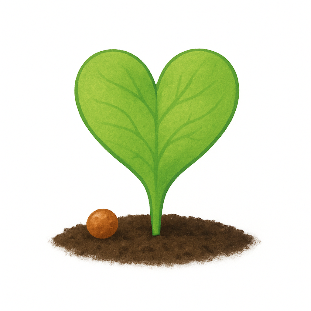 <p>The small plant that grows from a fern spore and has male and female parts.</p>